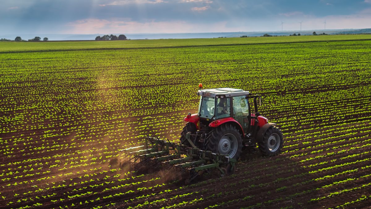 Agriculture — Investing in food security.